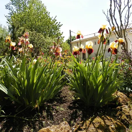 Bed and Breakfast Au Pre Du Mignon Aux Portes Du Marais Poitevin